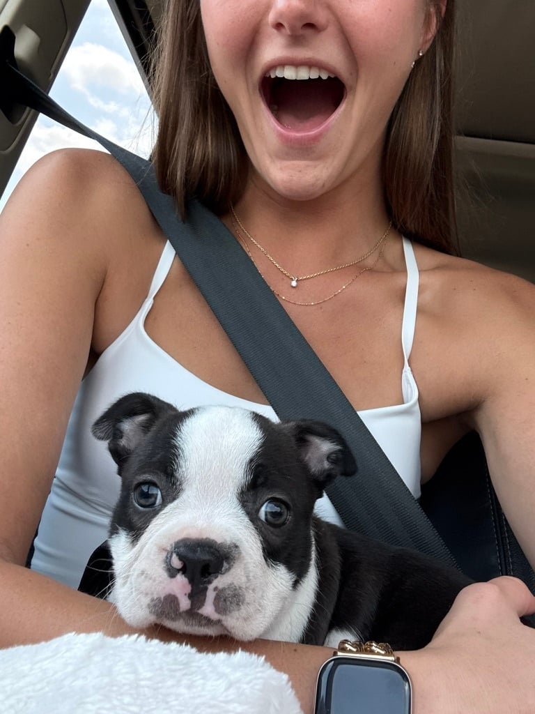 Tilly Coming Home